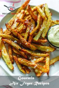 Gourmia Air Fryer Recipes Gourmia Air Fryer Recipes