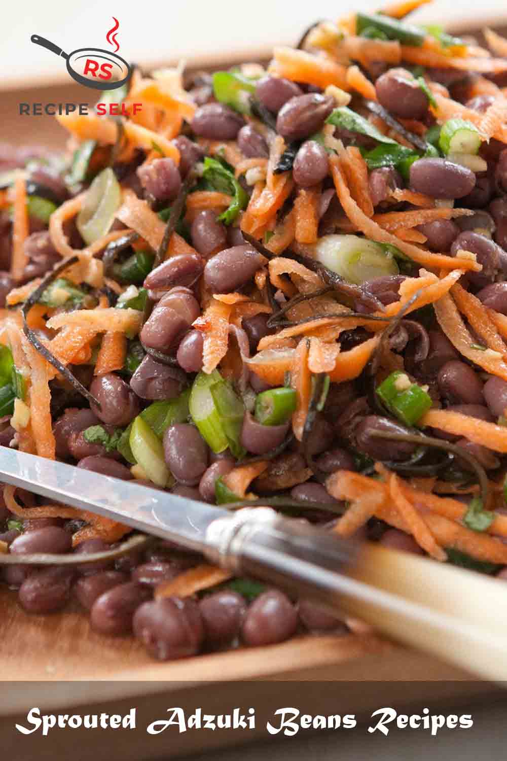 Sprouted Adzuki Beans Recipes Sprouted Adzuki Beans Recipes