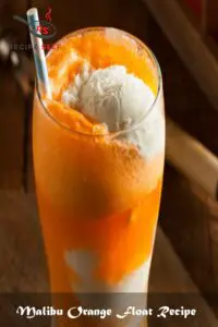 Malibu Orange Float Recipe