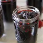 Mulberry Jelly Recipe