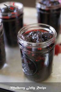 Mulberry Jelly Recipe Mulberry Jelly Recipe