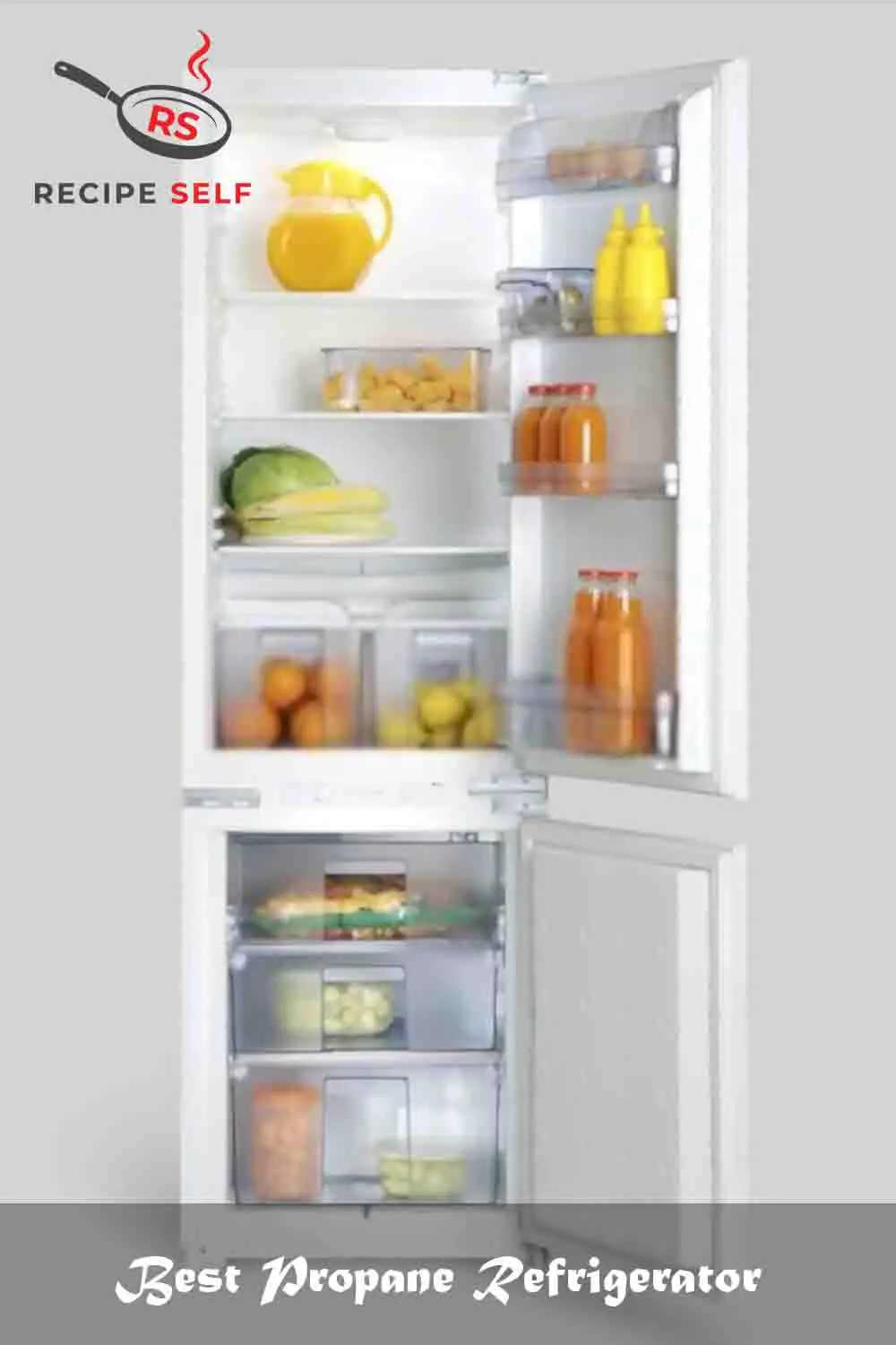 Best Propane Refrigerator