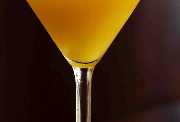 Olive Garden Mango Martini Recipes