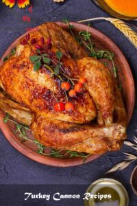 Turkey Cannon Recipes Turkey Cannon Recipes