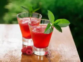 15 Best Vodka Drink Recipes That'll Tingle Your Taste Buds