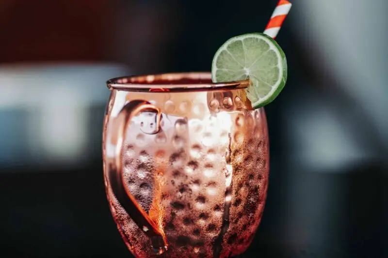 15 Best Vodka Drink Recipes That'll Tingle Your Taste Buds Moscow Mule