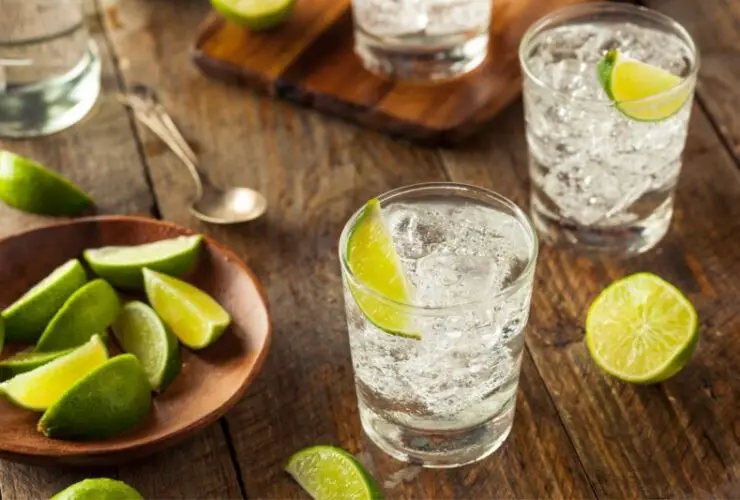 Refreshing Gin Drink Recipes That'll Give Any Bartender A Run For Their Money