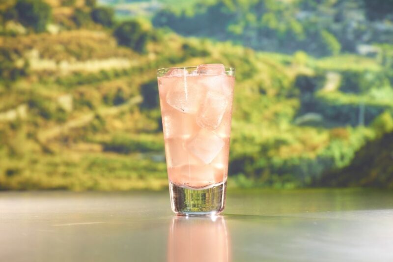 15 Refreshing Gin Drink Recipes That'll Give Any Bartender A Run For Their Money Sloe Gin Punch